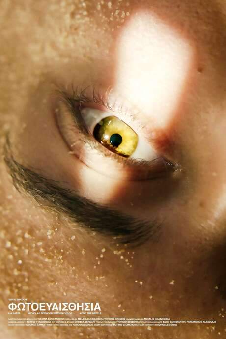    There was light and it was brutal. The shadows could not heal. The Boy had fallen into sleep. The Girl was recalling and the sand was everywhere.  